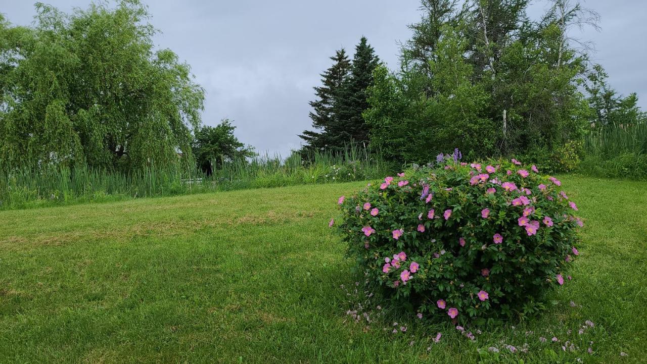 Bouctouche Bay Inn Εξωτερικό φωτογραφία